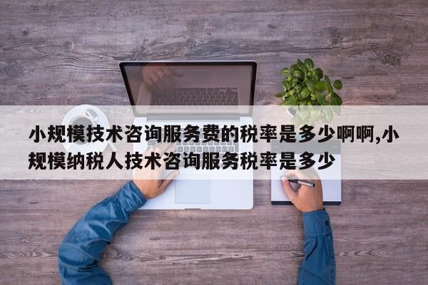 小规模技术咨询服务费的税率是多少啊啊,小规模纳税人技术咨询服务税率是多少