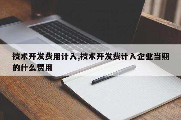 技术开发费用计入,技术开发费计入企业当期的什么费用
